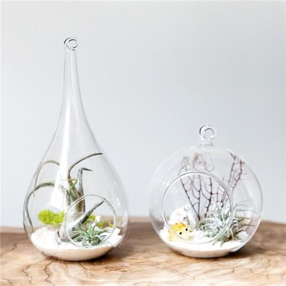 Mkono 2 Pack Glass Hanging Planter Air Fern Holder Terrarium Plants Hanger Vase - Picture 2 of 8